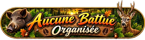 Aucune Battue Organisée